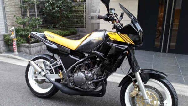 ＴＤＲ２５０　チャンバー　キャストホイール